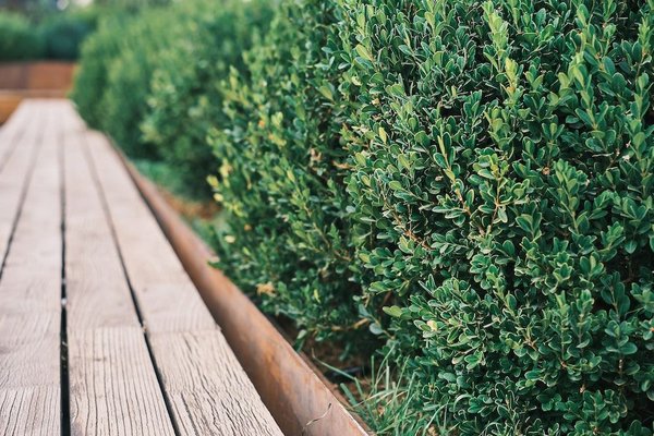 What Techniques Can Be Employed to Protect Businesses Against Currency Fluctuations in International Trade?